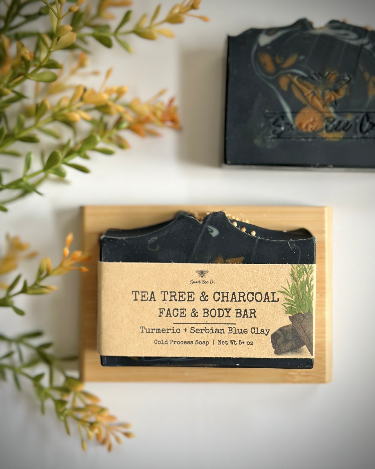 Tea Tree & Charcoal Face Body Soap ~ NEW LOOK