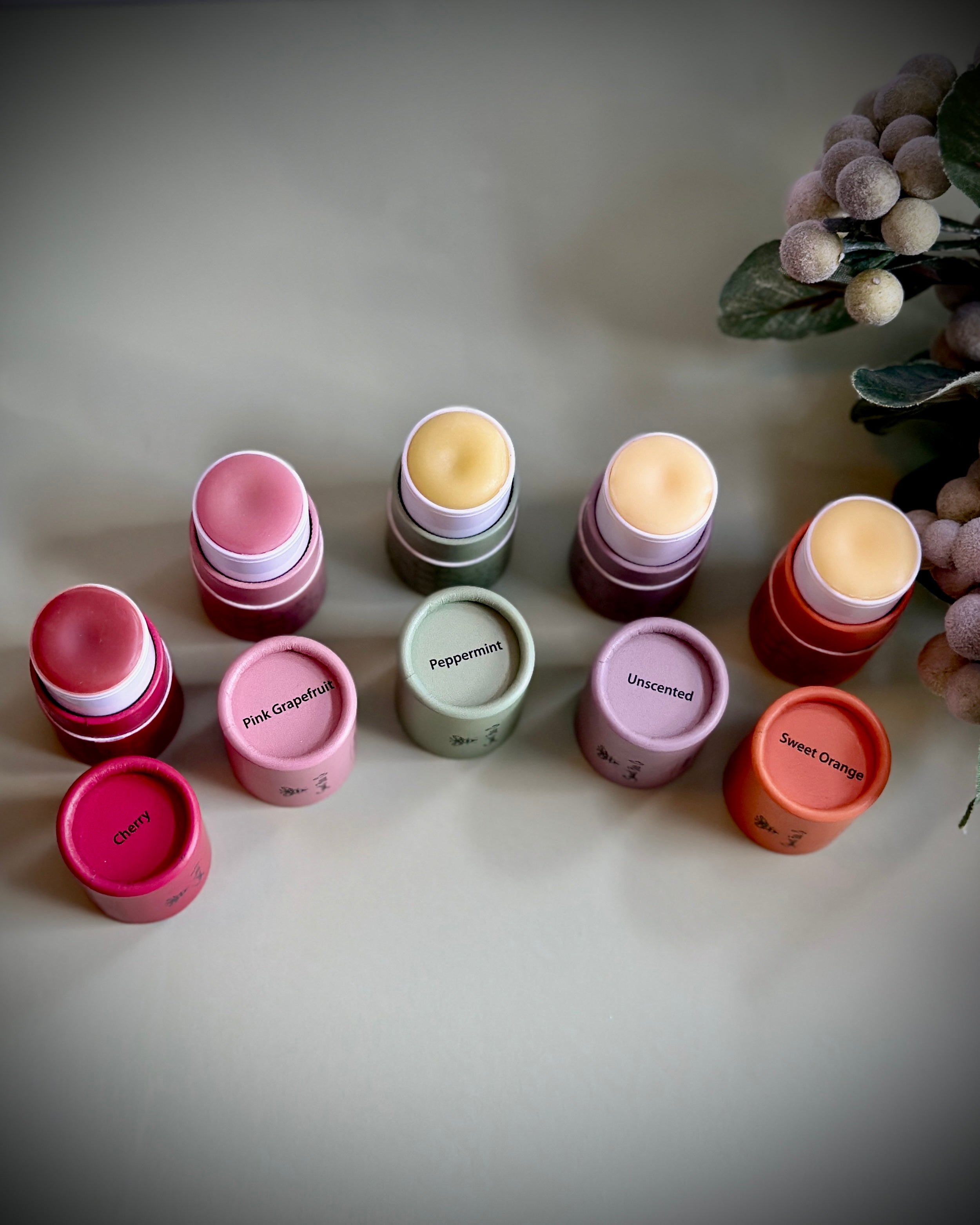 Set of 5 Lip Balms