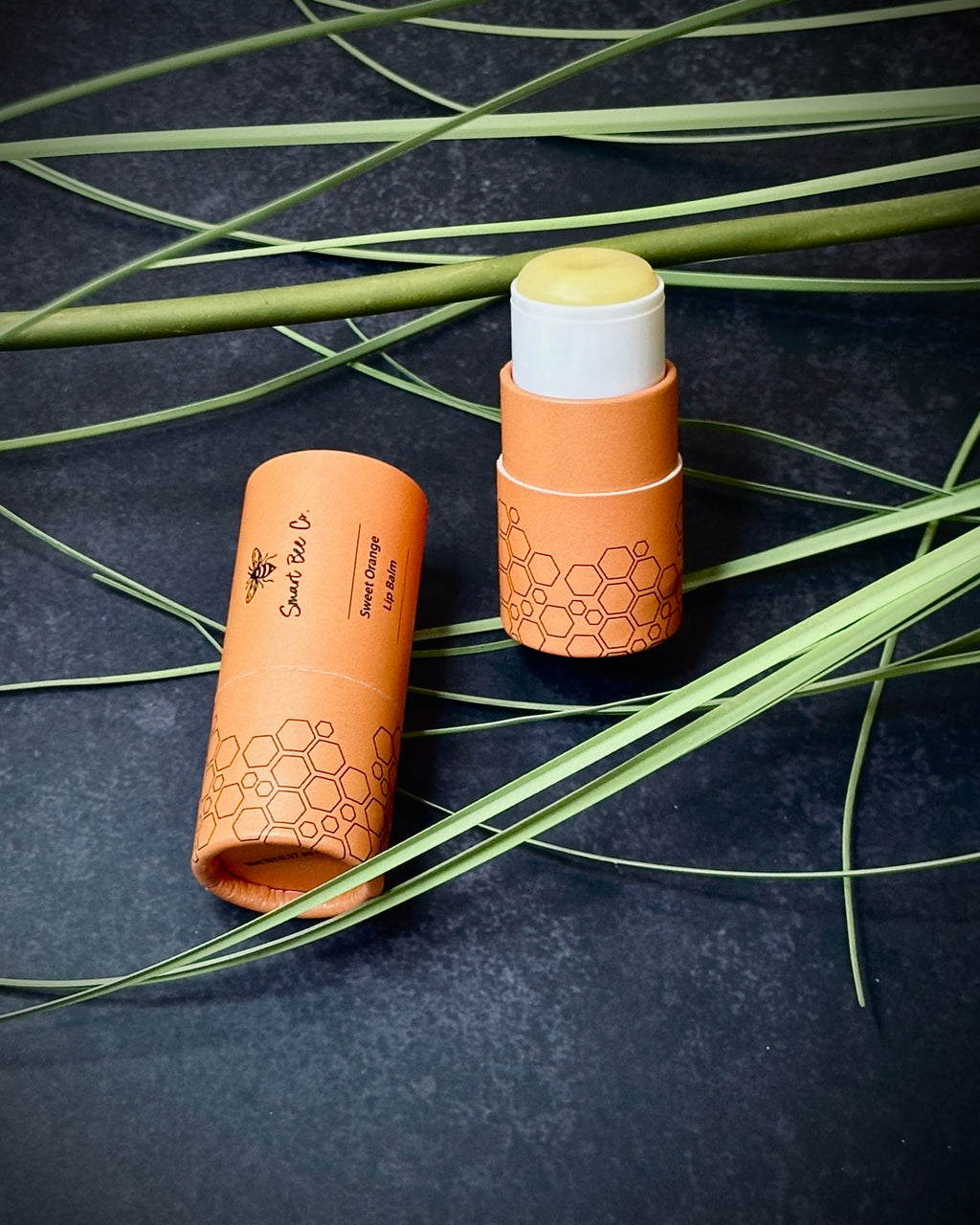 Two lip balm sticks with orange and white packaging on a dark surface with green leaves.