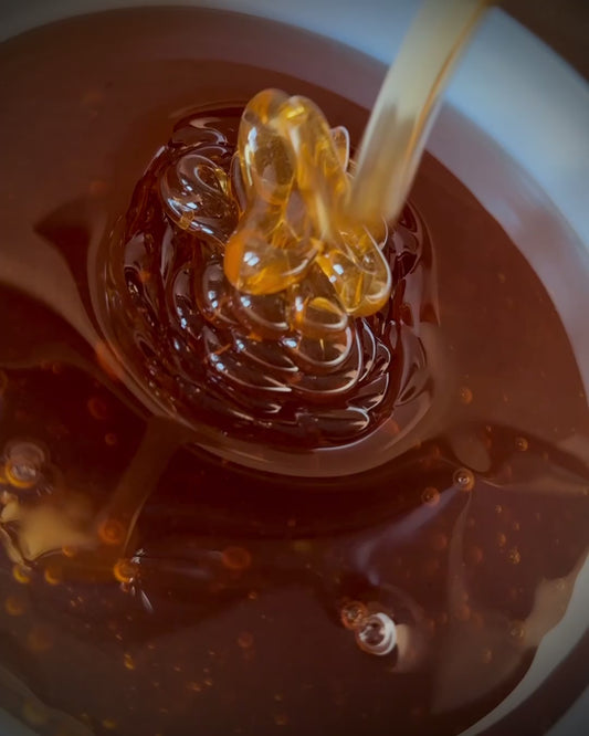 BlackBerry Wildflower Honey 2 lb